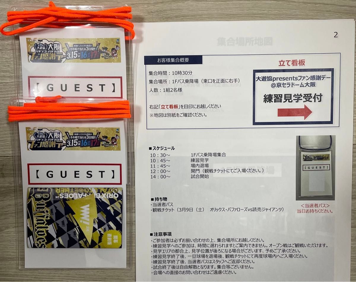 3/9(土) オリックス vs 巨人 オープン戦 A指定席 ペアチケット 3/9(土) オリックス vs 巨人 オープン戦 A指定席 ペアチケット