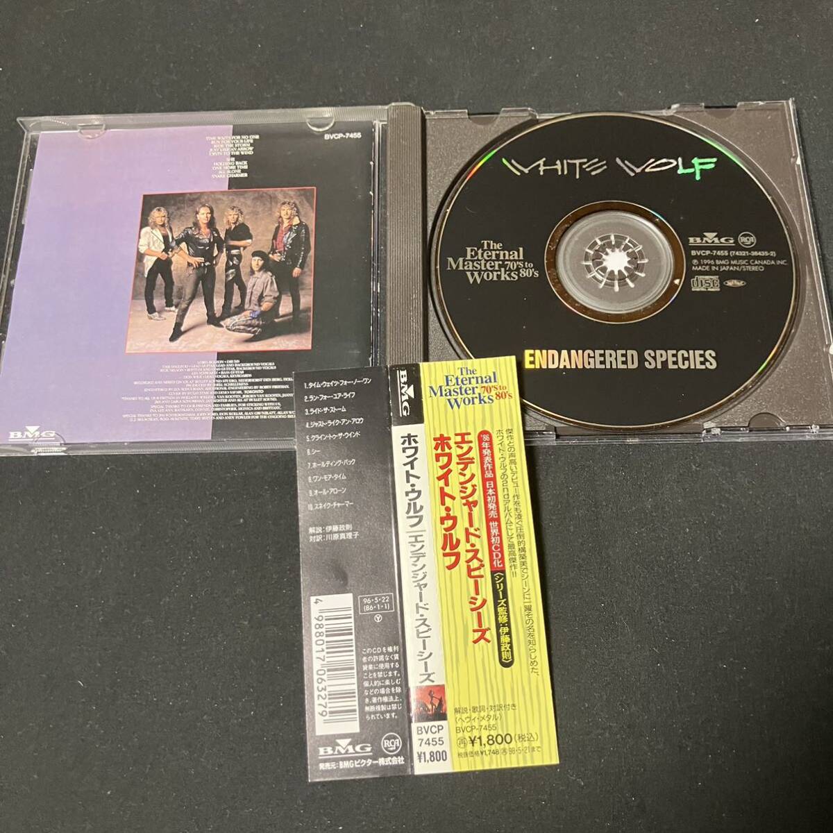 S14b CD 帯付 エンデンジャードスピーシーズ／ホワイトウルフ_画像4