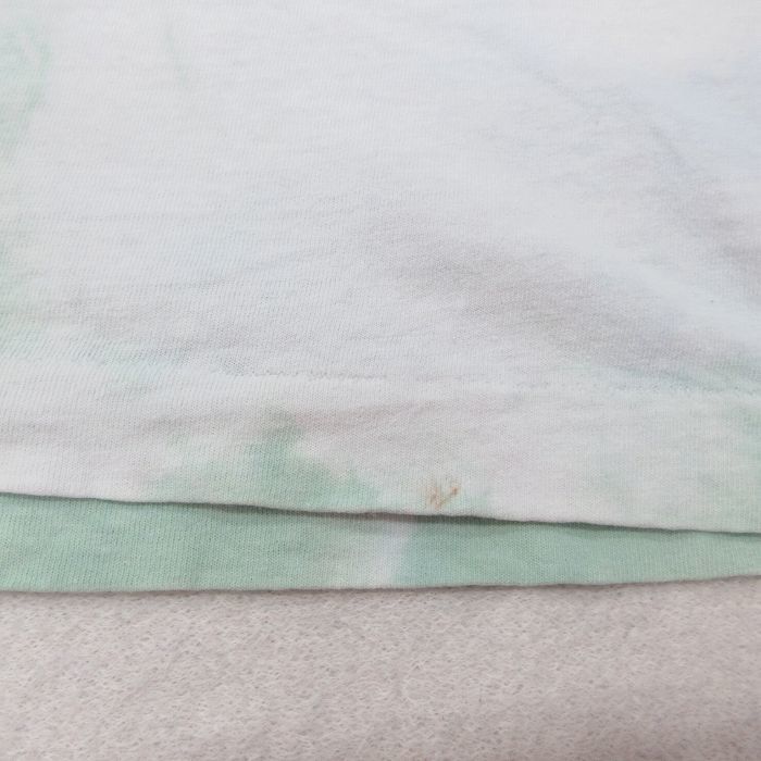 XL/古着 半袖 ビンテージ Tシャツ メンズ 80s HECKLES GHOST CELERYVILLE 刺繍 大きいサイズ コットン クルーネック 薄緑他 グリーン_画像9