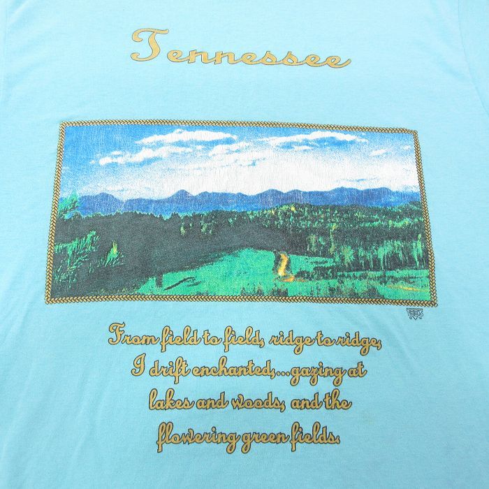 L/古着 半袖 ビンテージ Tシャツ メンズ 90s テネシー 山 クルーネック 水色 23jul01 中古_画像2