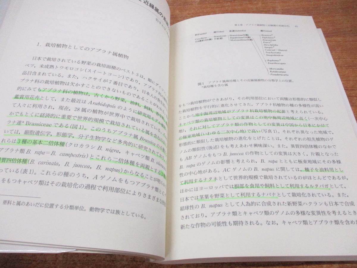 ●01)【同梱不可】栽培植物の自然史/野生植物と人類の共進化/山口裕文/島本義也/北海道大学図書館刊行会/2003年発行/A_画像4