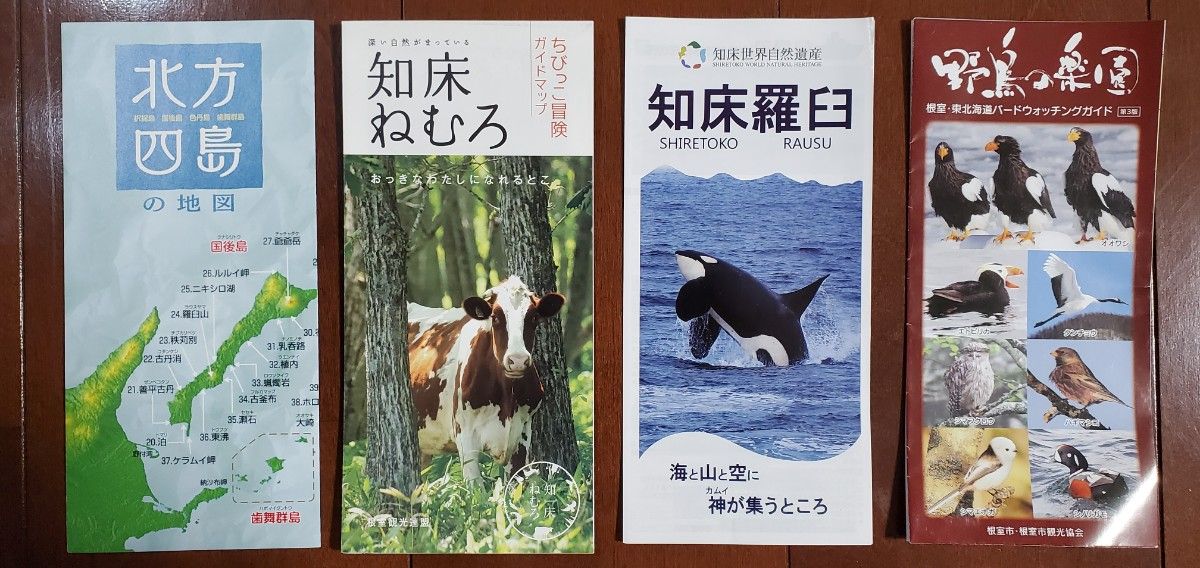 観光案内パンフレット(北海道道東:釧路,根室) 【旧みんたびより1部あたりの価格が安い！】