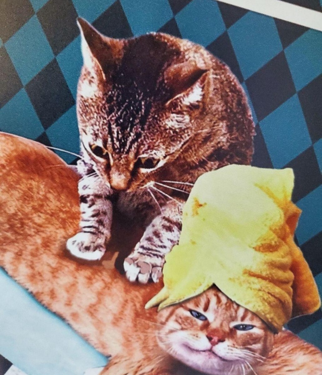 ブリキ看板　HANAKO　レトロ　猫の看板　T29　茶トラ　猫のマッサージ　ウェルカムボード