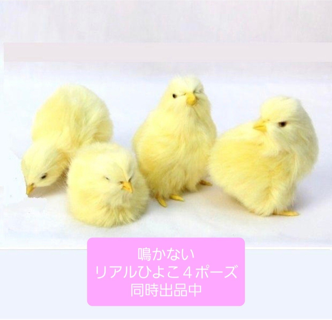 ひよこの置物 リアルひよこ 鳴くひよこAB 2点 鳥の雑貨 HANAKO ひよこの置物 リアルひよこ 鳴くひよこAB 2点 鳥の雑貨 HANAKO