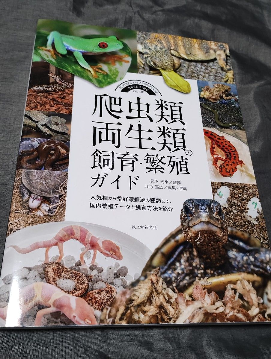 爬虫類・両生類の飼育・繁殖ガイド　人気種から愛好家垂涎の種類まで、国内繁殖データと飼育方法を紹介 栗下光幸／監修　川添宣広／編集