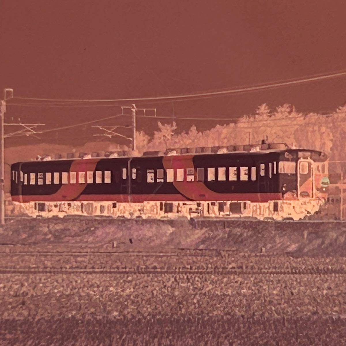 古い鉄道写真 ネガフィルム EF65123 やくも こんぴら クモハ115-1518 しおかぜ EF6624 せと駅 列車 昭和 電車 （030701_画像6