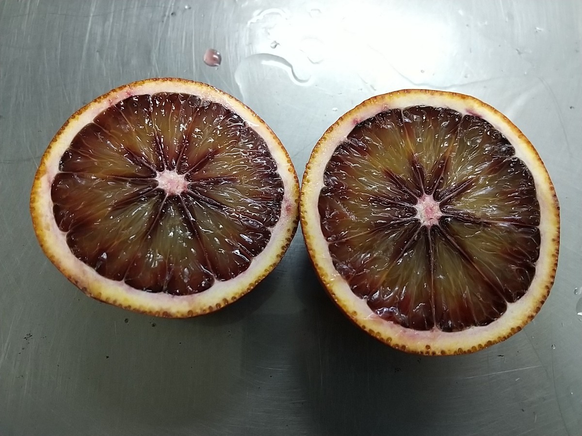 ★愛媛県産　ブラッドオレンジ　モロ種★　５ｋｇ　（カットフルーツ、ジュース、ジャム、何でも美味しい！！）_画像1