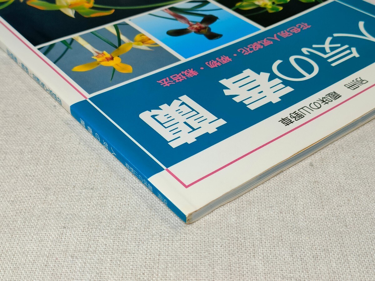 別冊 趣味の山野草　人気の春蘭　栃の葉書房 ／ 日本春蘭_画像3