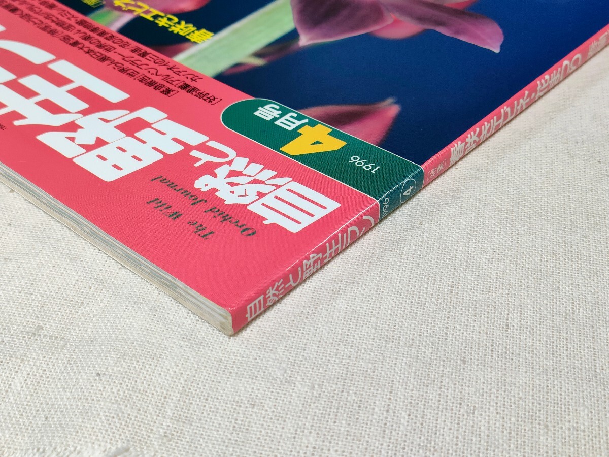 自然と野生ラン　1996年4月号／春咲きエビネ・花まつり／春蘭総天然色図鑑[秘蔵の無銘編]／食虫植物の神秘／小豆島／ホトトギス類　ほか　_画像3