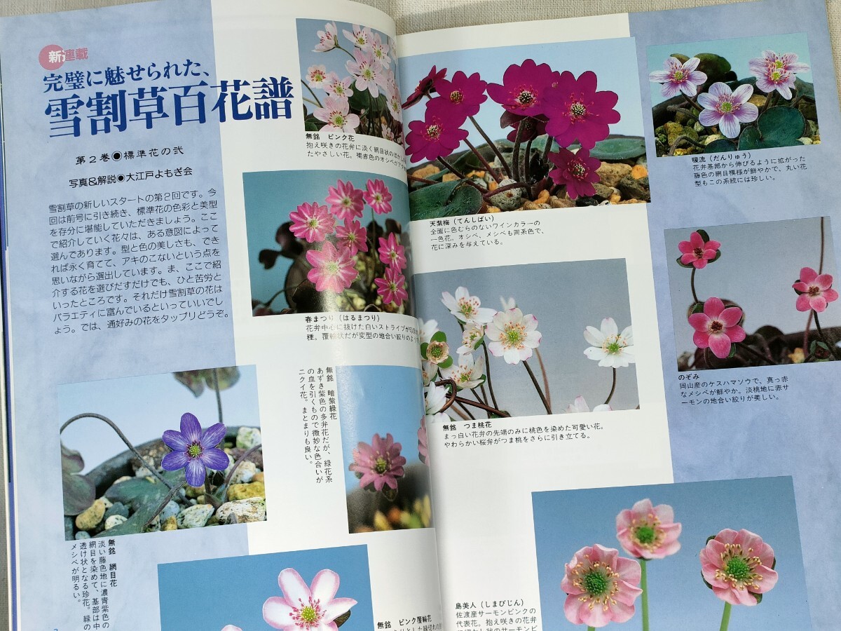  nature .. raw Ran 1996 year 7 month number | super origin ..uchou Ran | shrimp ne. . distribution flower powerful new star | snow break up . 100 flower .| squid li saw .| spring orchid total natural color illustrated reference book other 