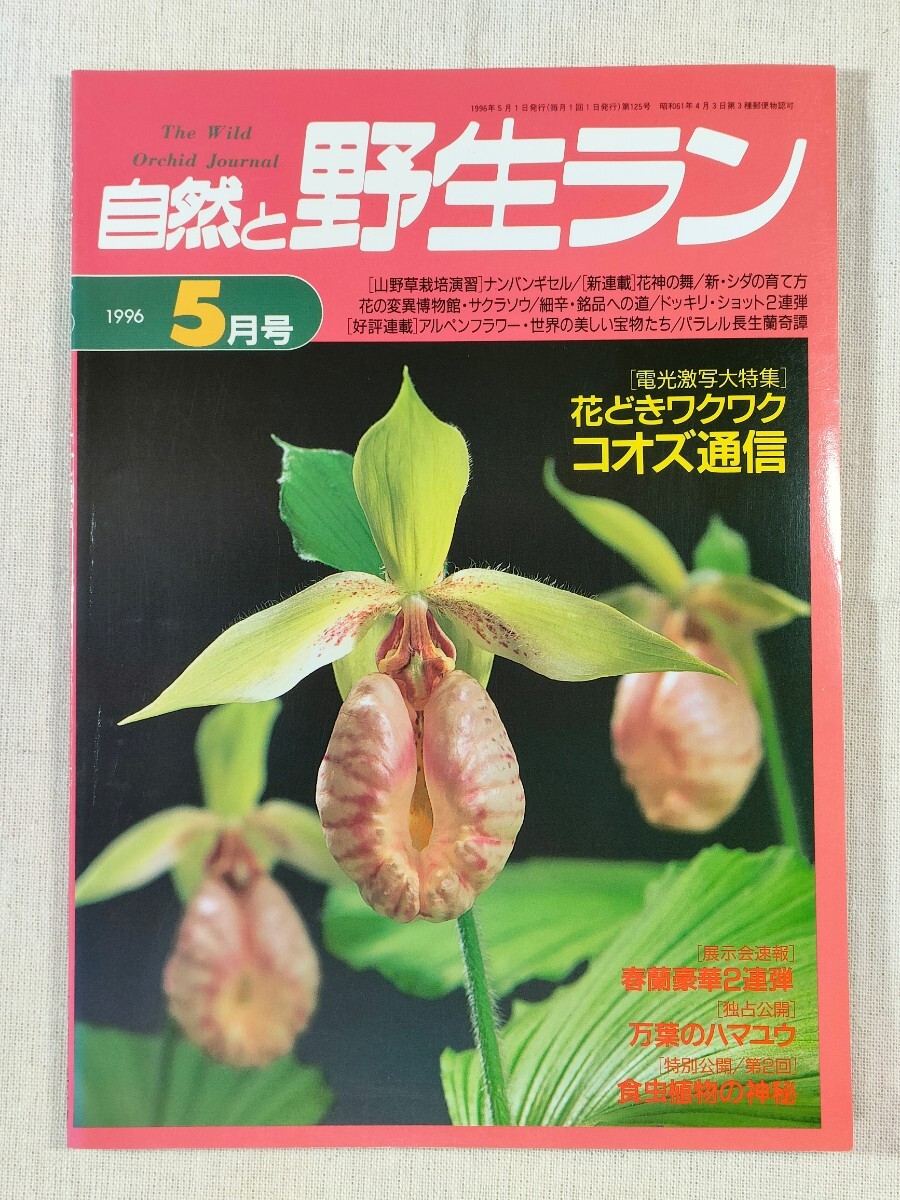  nature .. raw Ran 1996 year 5 month number | flower ..wakwakko oz communication | spring orchid gorgeous 2 four‐hand‐playing | ten thousand leaf. is mayuu| meal insect plant. god .| number ngi cell another 