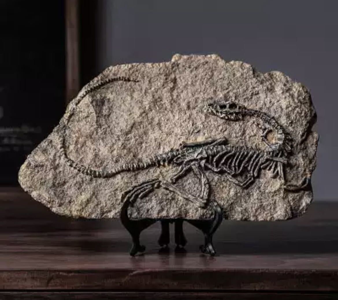 種類多数 3D 恐竜 化石 彫刻 インテリア 装飾 レトロ 骨 おしゃれ アンティーク 置物_画像4