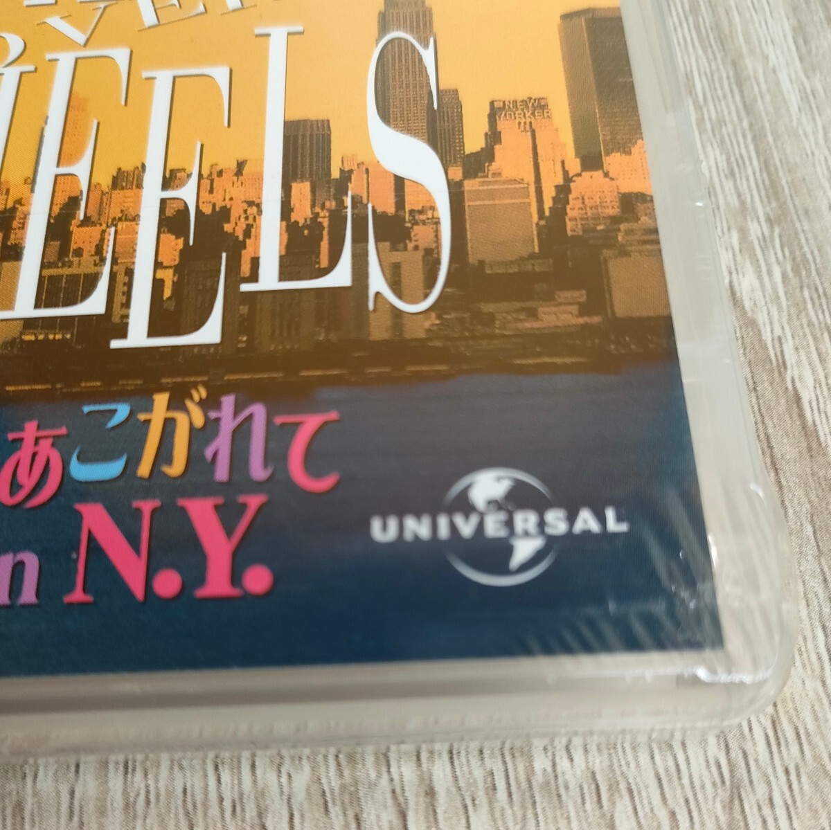 【未開封品】「恋にあこがれて in N.Y.('01米)」モニカ・ポッター / フレディ・プリンゼJr. / マーク・ウォーターズ【送料無料・即決】_画像3