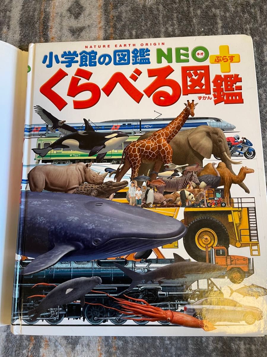 くらべる図鑑 （小学館の図鑑ＮＥＯ＋） 加藤由子／〔ほか〕監修・指導