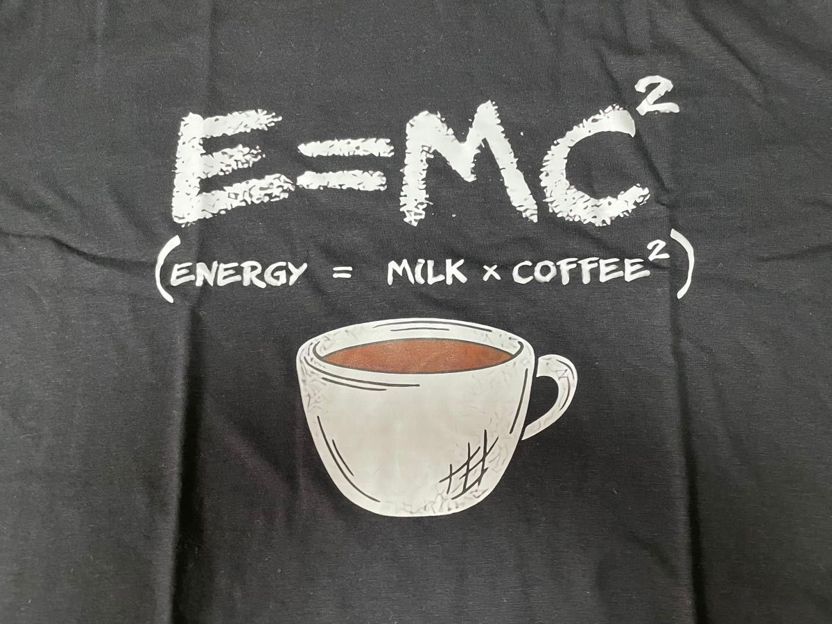 パロディ/オモシロTシャツ『E=MC2』アインシュタイン/相対性理論／質量とエネルギーの等価性 新品未着用　サイズM