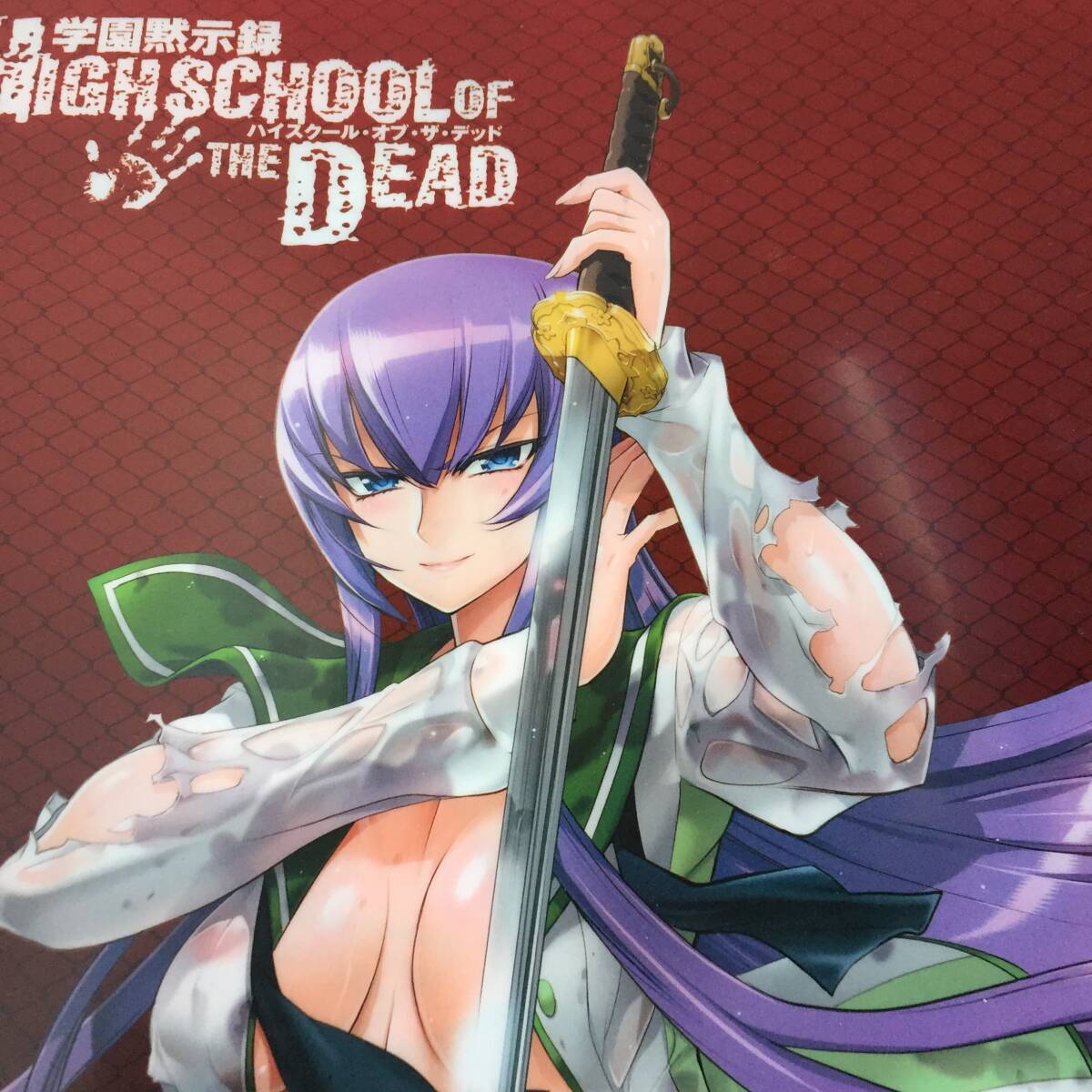 ◆佐藤ショウジ アートワークス 学園黙示録 HIGH SCHOOL OF THE DEAD トリアージX A4クリアファイル とらのあな購入特典 毒島冴子 【0318の画像3