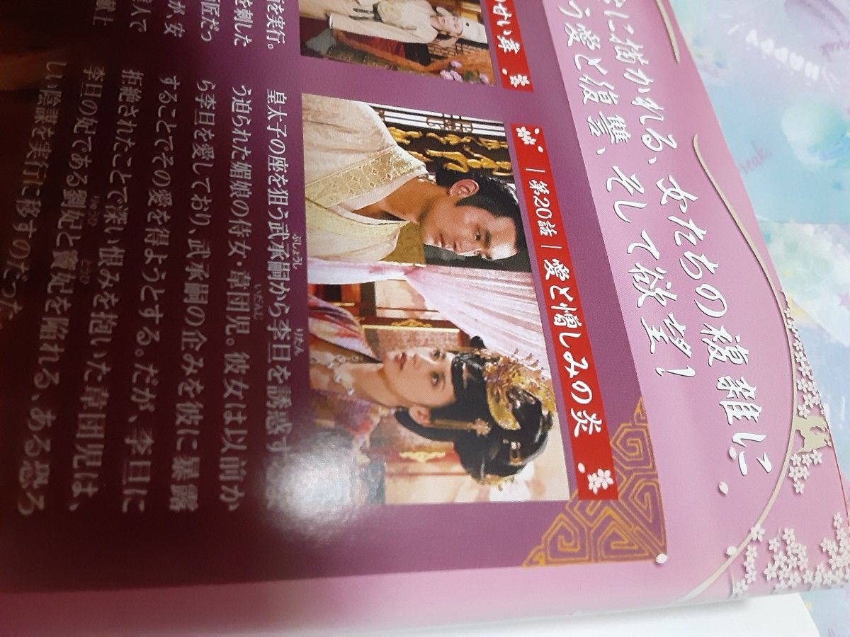 中国ドラマ二人の王女。DVD23枚武則天の二人の娘の物語。日本語吹替あり