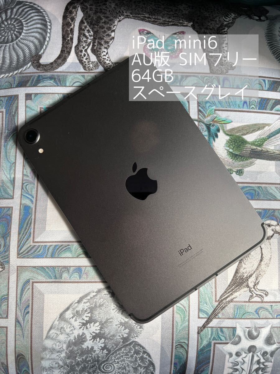 SIMフリー Apple iPad mini6 第6世代 AU版SIMロック解除 64GBの画像1