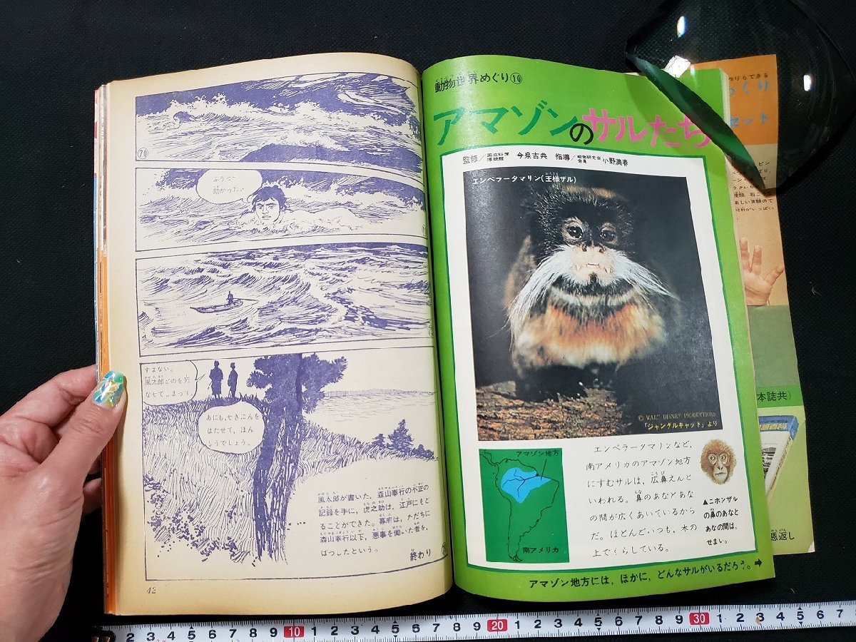 ｈ♯ 昭和40年代 4年の科学 昭和46年3月号 世界塩たんけん 付録なし 岡田要・茅誠司・湯川秀樹/監修 学習研究社 /B01上の画像4