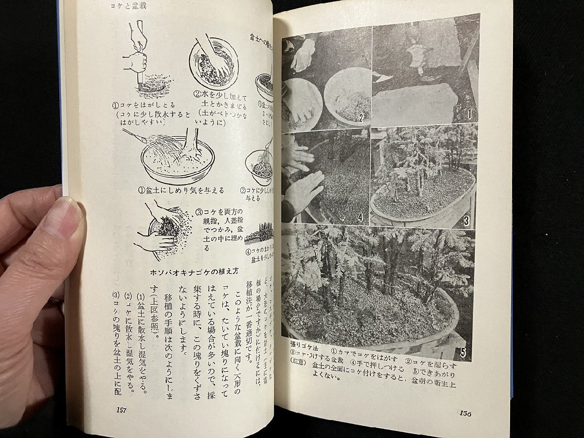 g-koke... introduction work * Inoue . Showa era 50 year Ikeda bookstore garden tray . pot . box . bonsai /D04