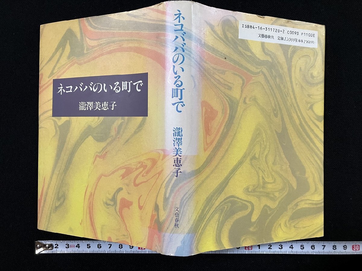 ｇ∞*　ネコババのいる町で　著・瀧澤美恵子　平成2年　文藝春秋　/E02_画像1