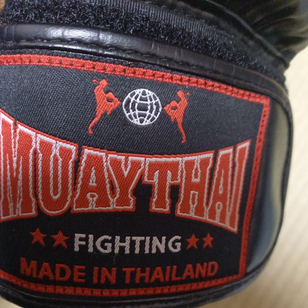 格闘技　muaythai グローブ　ゆうパック80 10oz 10オンス　？　ムエタイ　ボクシングではないかも_画像4