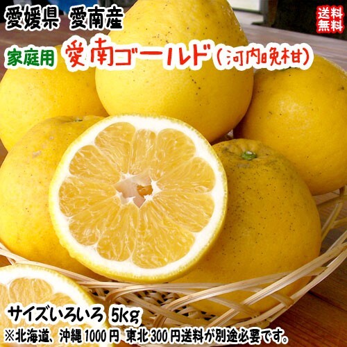 Ainan Gold Kawachi Kawachi Dynasty Family 5 кг Ehime Minami -Cho, освежающий сочный летний цитрусовый качество бренда бесплатная доставка
