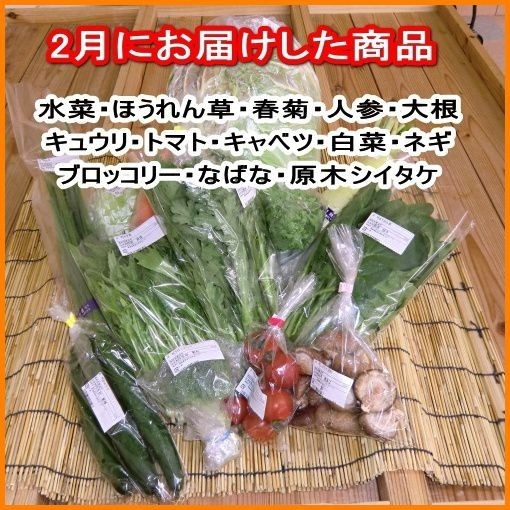 愛媛 百姓にお任せ 朝採れ 旬野菜 8-10品 石鎚山系農地の減農薬野菜 送料無料 宇和海の幸問屋_画像6