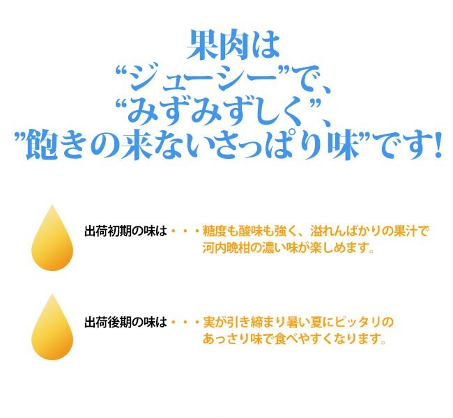 河内晩柑 訳あり 10kg サイズフリー 愛媛 宇和島 吉田産 爽やかジューシーな夏の柑橘 農地直送 送料無料 北海道・沖縄・東北は別途送料の画像5