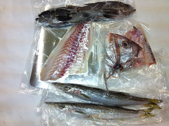 お手軽鮮魚セット 2人前 刺身/煮魚/焼魚用に下処理済み 旬鮮魚 送料込み 浜から直送 宇和海の幸問屋_画像9