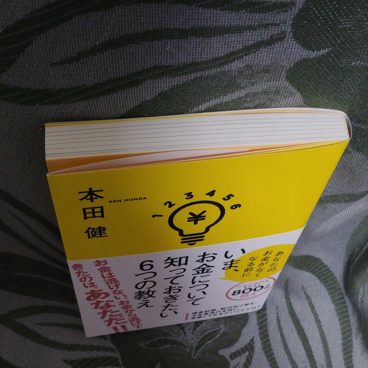 　新品未読　いま、お金について知っておきたい６つの教え　あなたのお金がなくなる前に 本田健／著