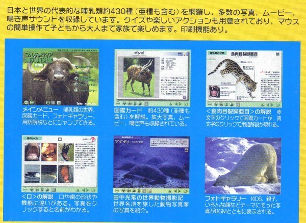 * multimedia mammalian illustrated reference book / personal computer . see illustrated reference book soft 