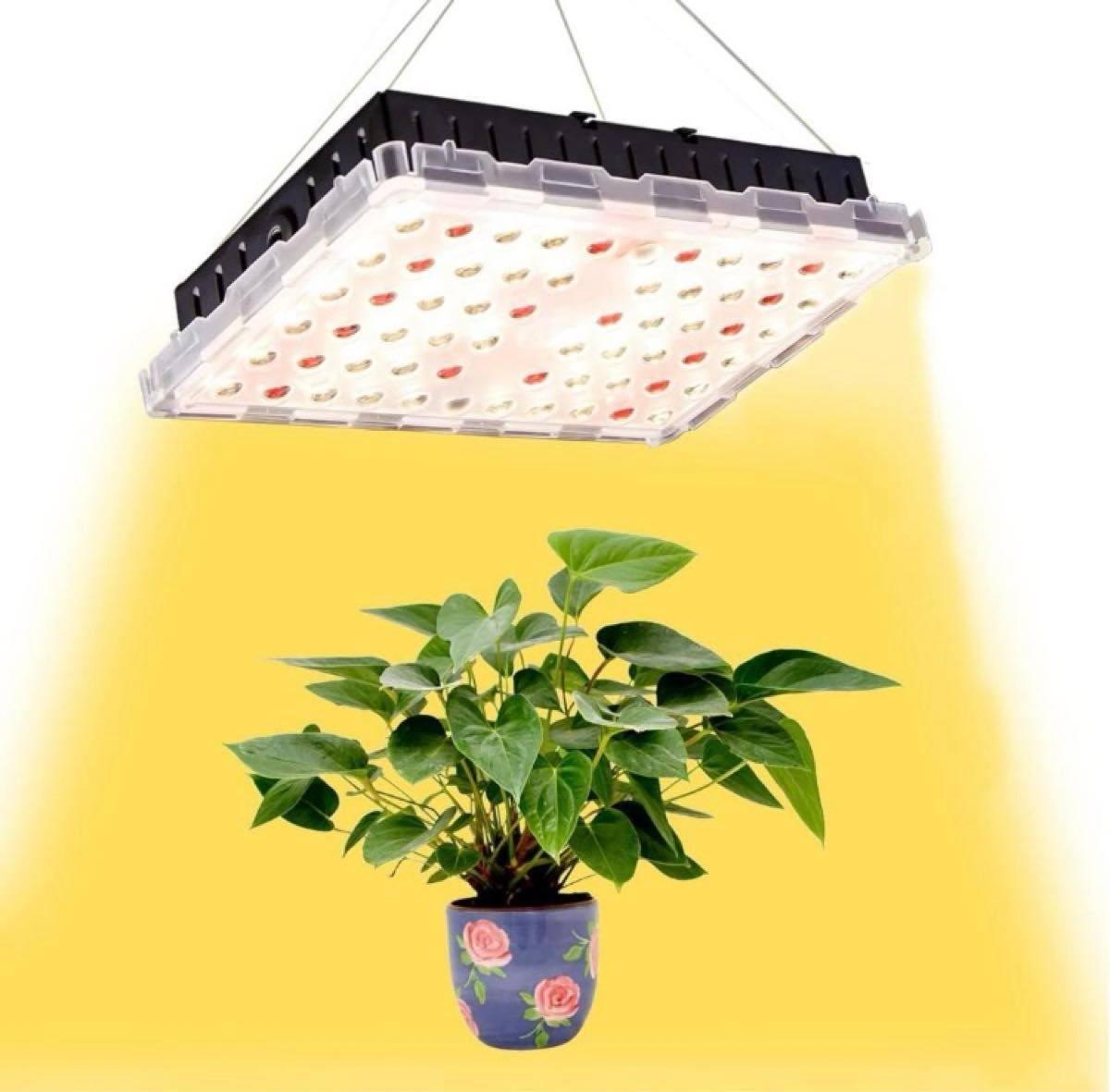 【★3点セット★】植物育成ライト LED家庭菜園 室内栽培 植物用 300W フルスペクトル