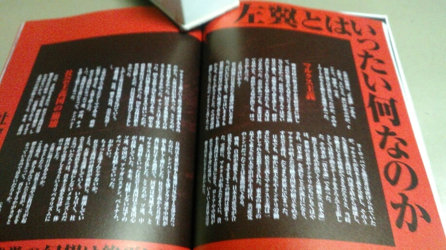 「日本の右翼と左翼・その思想と行動のすべて」別冊宝島。良質本。_画像6