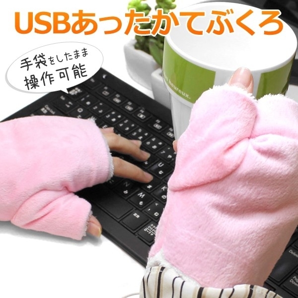 1 jpy start * new goods * set sale special price *TMY USB warmer warm gloves .. paste warm heating glove 2 collection set WG-GL01PK-SET2