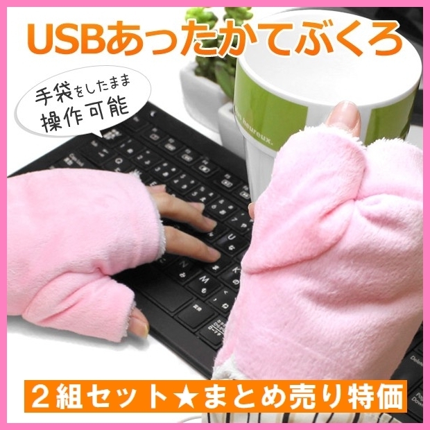 1 jpy start * new goods * set sale special price *TMY USB warmer warm gloves .. paste warm heating glove 2 collection set WG-GL01PK-SET2