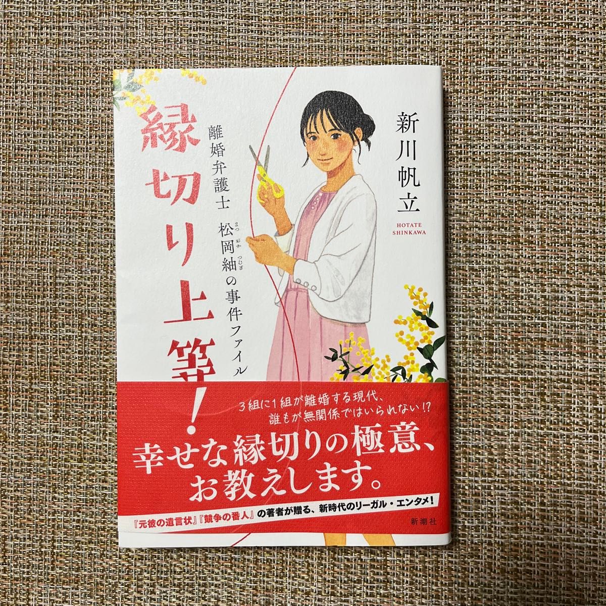 縁切り上等！　　　　　　　　　　　　　　　　　　　　離婚弁護士　松岡紬の事件ファイル　新川帆立