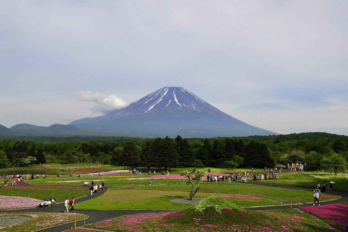 1円画像 ★フリー素材■画像限定★の画像1