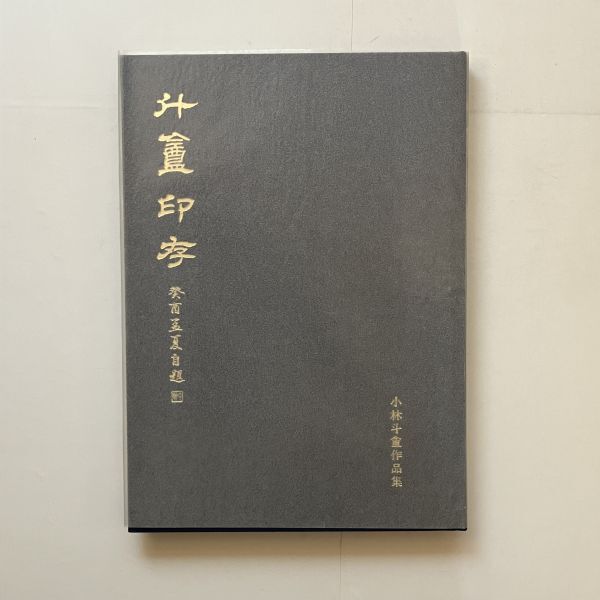 【篆刻】斗あん印存 : 小林斗あん作品集 1993年 篆刻作品集 作品240点以上掲載 函付き状態良好☆書道 篆書 印鑑 古本 本 10にynの画像2