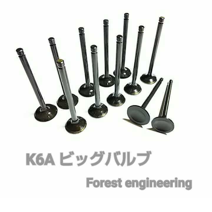 K6A　ビッグバルブ　フォレストエンジニアリング_画像1