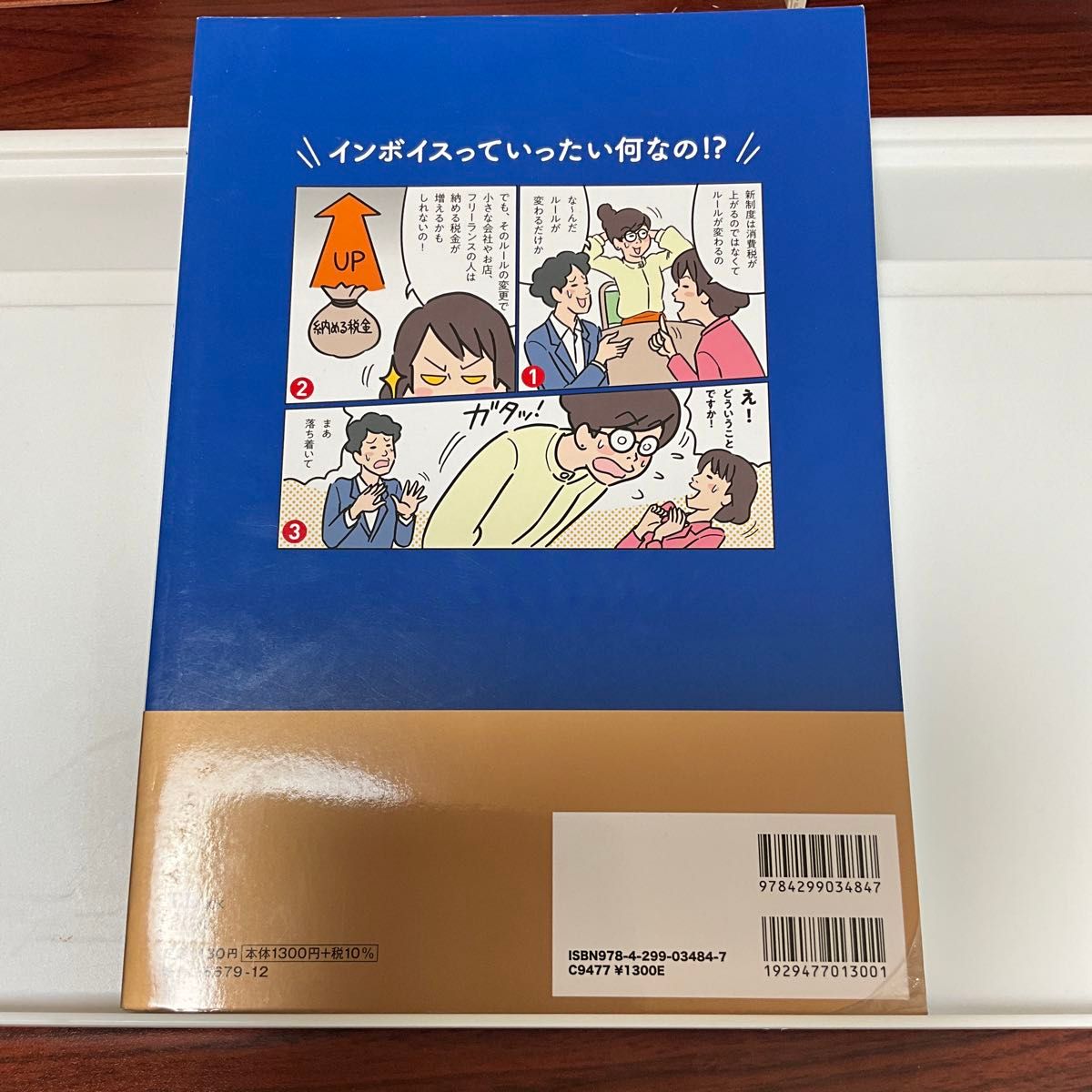 インボイスにそなえる本　２０２３年スタートの新制度を専門家がやさしく解説！！ （ＴＪ　ＭＯＯＫ） 中島典子／監修