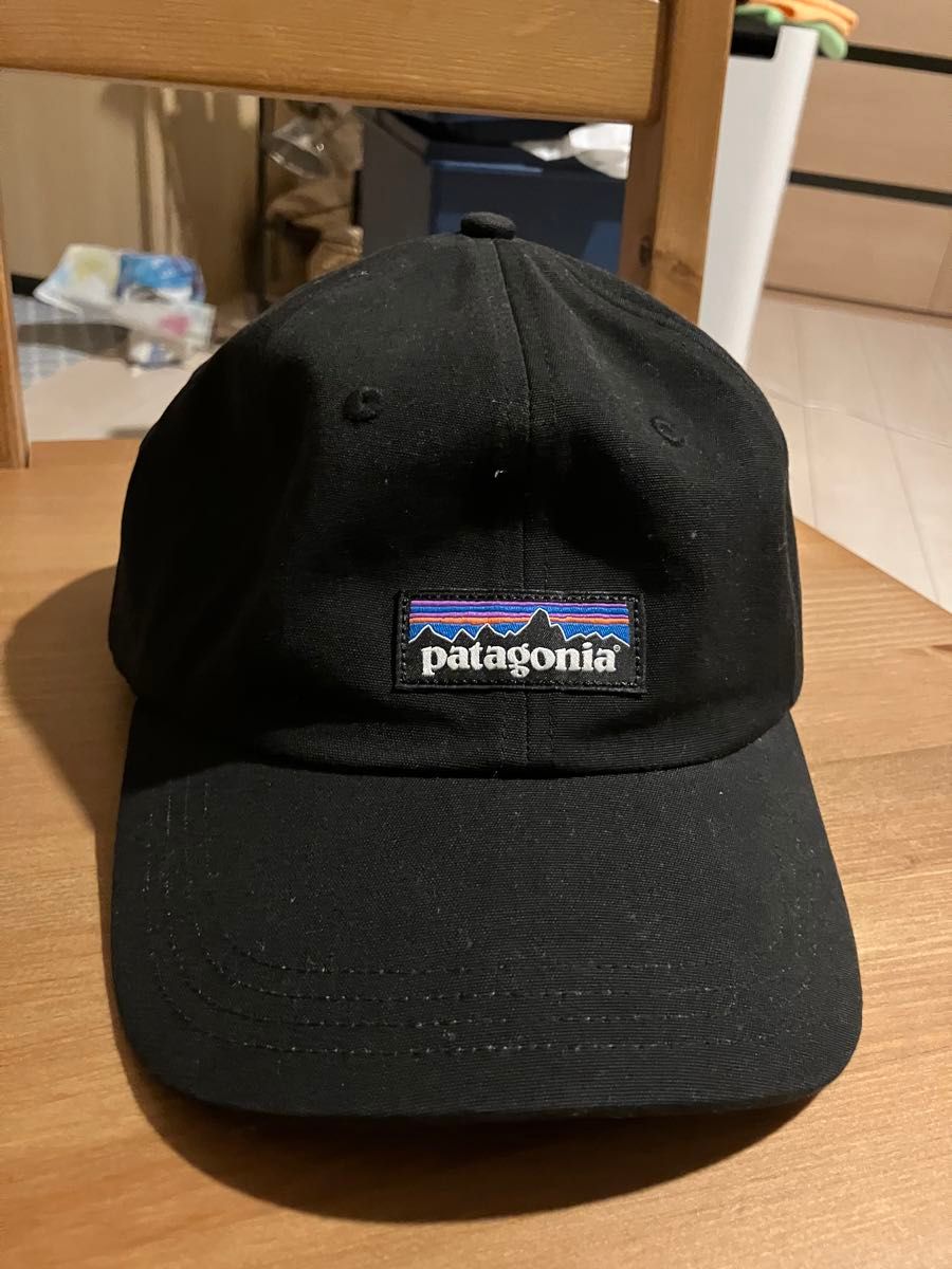 パタゴニア キャップ　patagonia ノースフェイス　alwayth nanamica アークテリクス　モンベル　