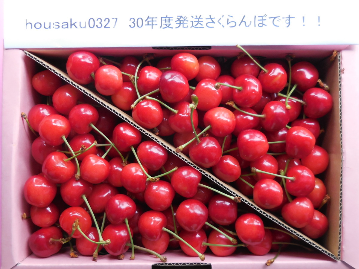 ★ Тщательно отобранная ★ Спелая доставка ★ hidenu l -ll ★ yamagata higashi -rovenu Cherry из Sato nishiki ★ 1 кг ★ Ruby в начале лета! !