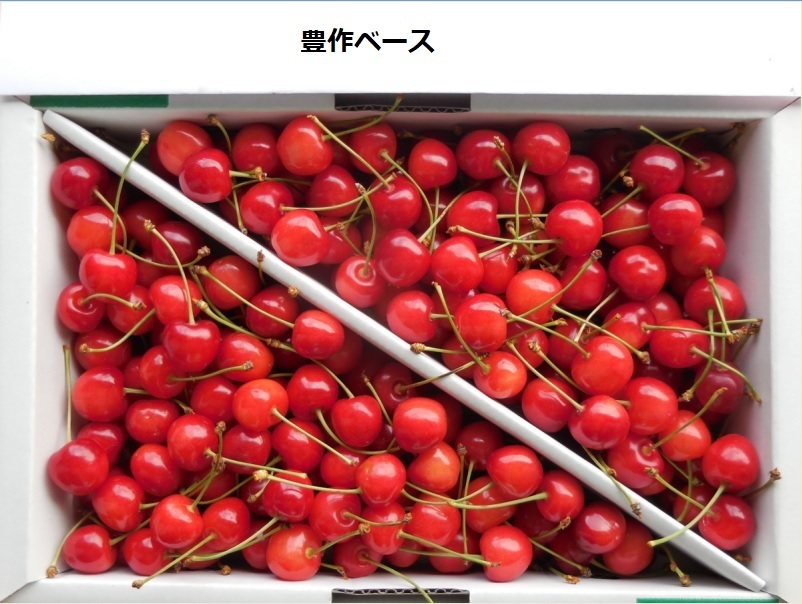 Тщательно отобранная созревшая партия M ~ L yamagata Higashi -вишня из Sato Nishiki 1 кг в начале лета светящийся блеск! !