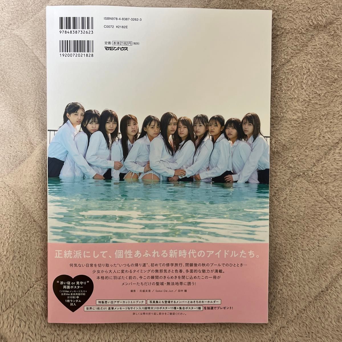 あの頃、乃木坂にいた 乃木坂46 5期生写真集 川崎桜 一ノ瀬美空 ポスター ポストカード あの頃、乃木坂にいた 乃木坂46 5期生写真集 川崎桜 一ノ瀬美空 ポスター ポストカード