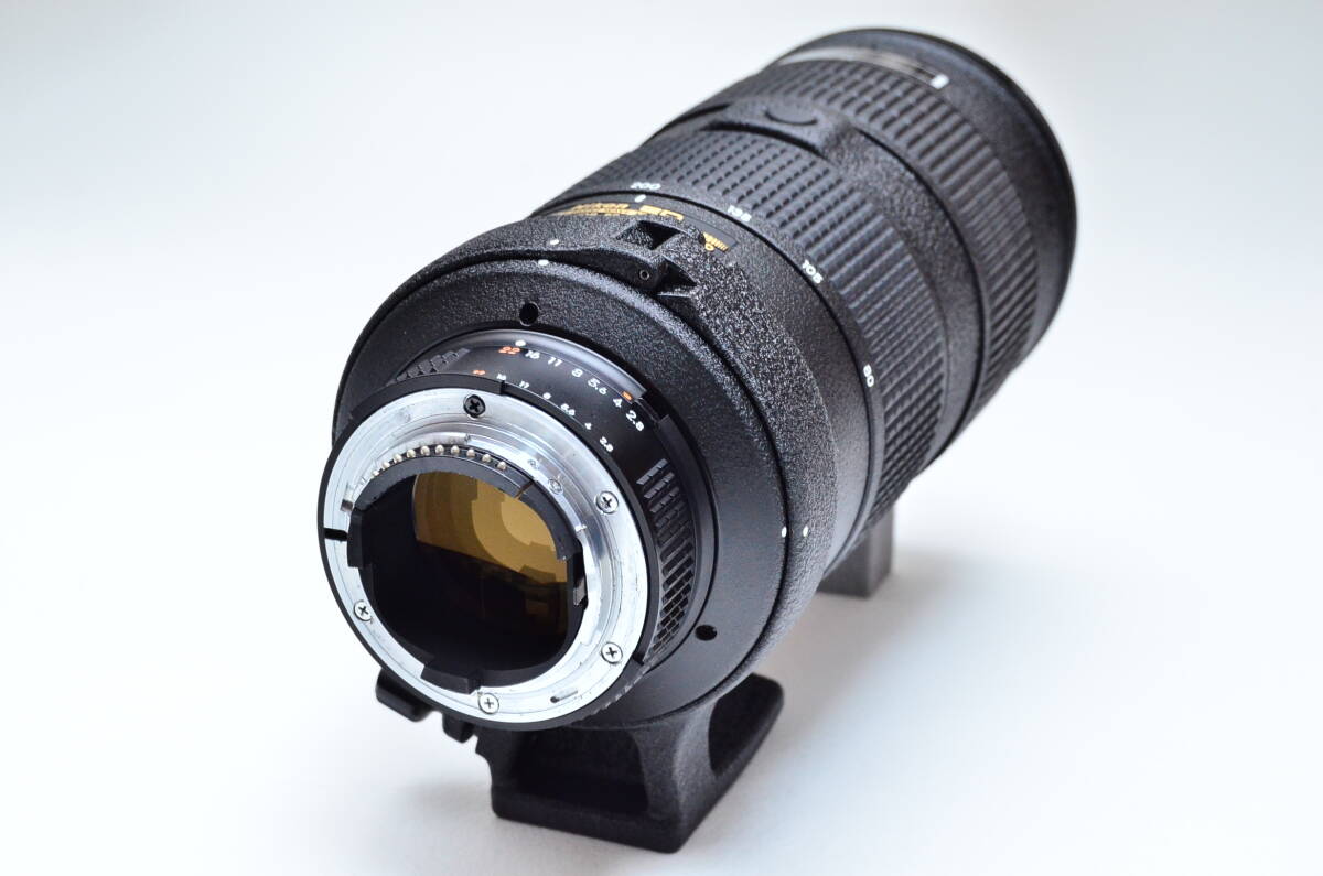 Nikon AF-S NIKKOR ED 80-200mm F2.8D の画像6