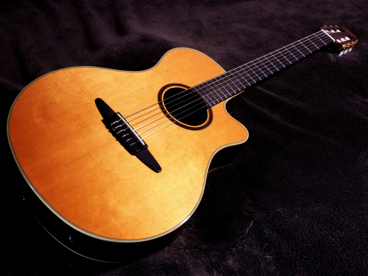 【美品・生産完了品】YAMAHA ヤマハ エレガッド クラシックギター APX-5NA
