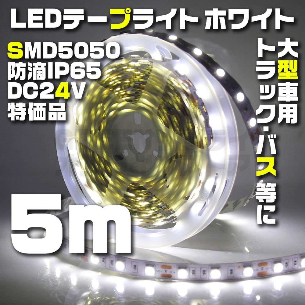 テープライト 5m ホワイト 24V LED 防水 60LED SMD5050