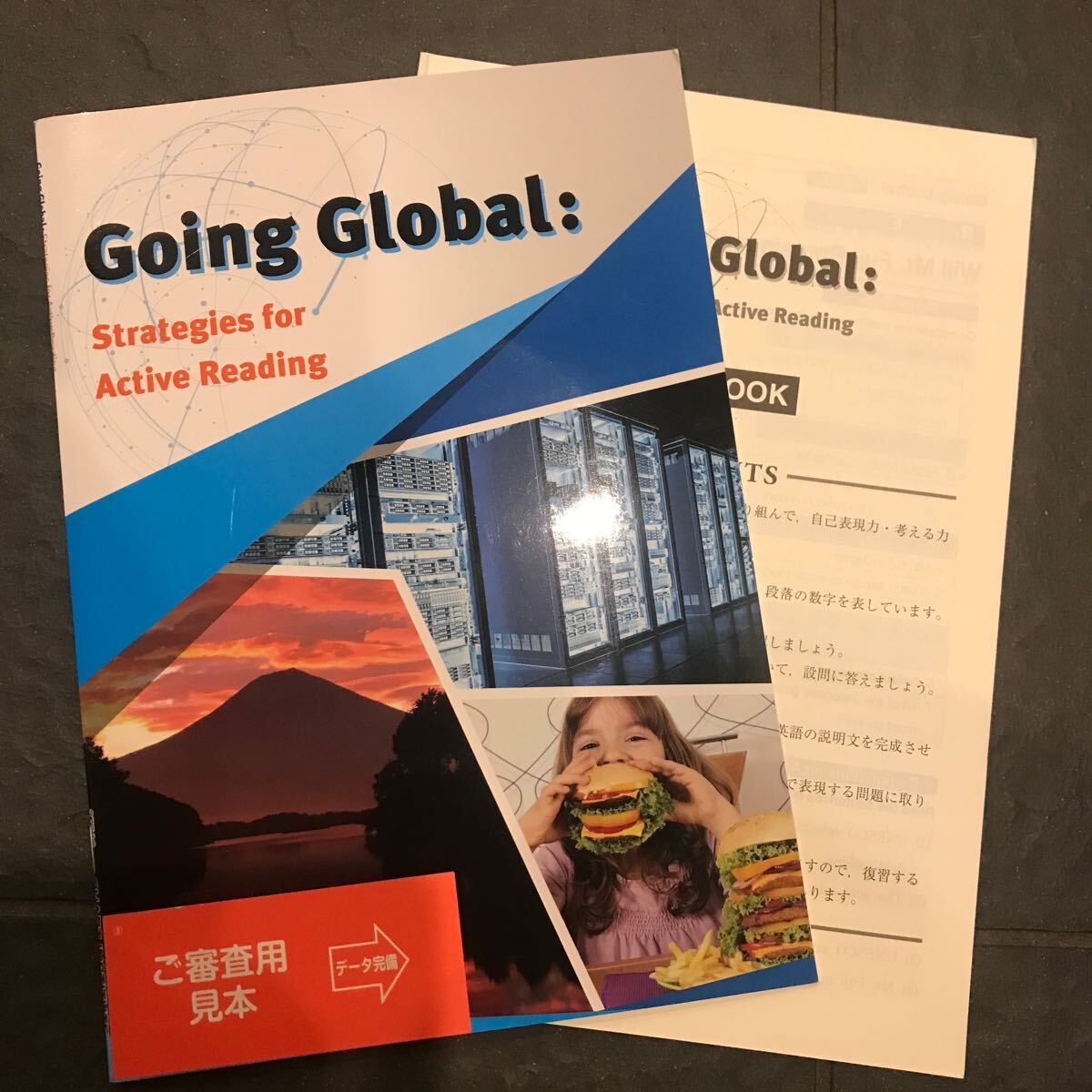 Going Global：Strategies for Active Reading 数研出版_画像1