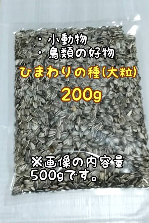 アメリカ産 ひまわりの種 200g 大粒 小動物 鳥類 ハムスターのおやつ_画像1